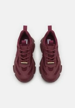 Steve Madden Possession - Sneakers Laag - Wine -Dameskledingwinkel b023863af28f4f4aab1677ac3717a836